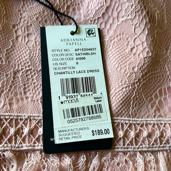 NWT Adrianna Papell Chantilly lace dress, sz 8 - Picture 13 of 14